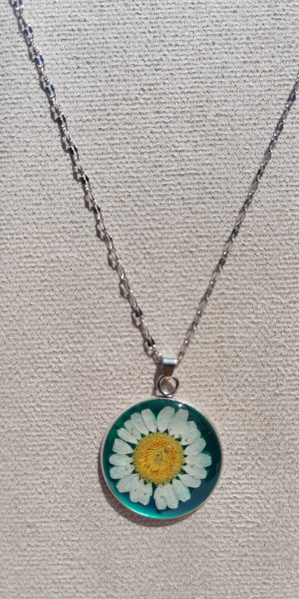 real daisy preserved in vibrant green resin, handcrafted Irish earrings by Botanic Gems Jewelry.