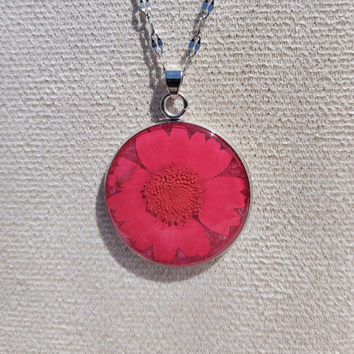 Handmade red daisy real flower dangle earrings, Irish botanical jewelry by Botanic Gems Jewelry