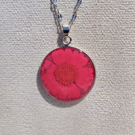Handmade red daisy real flower dangle earrings, Irish botanical jewelry by Botanic Gems Jewelry