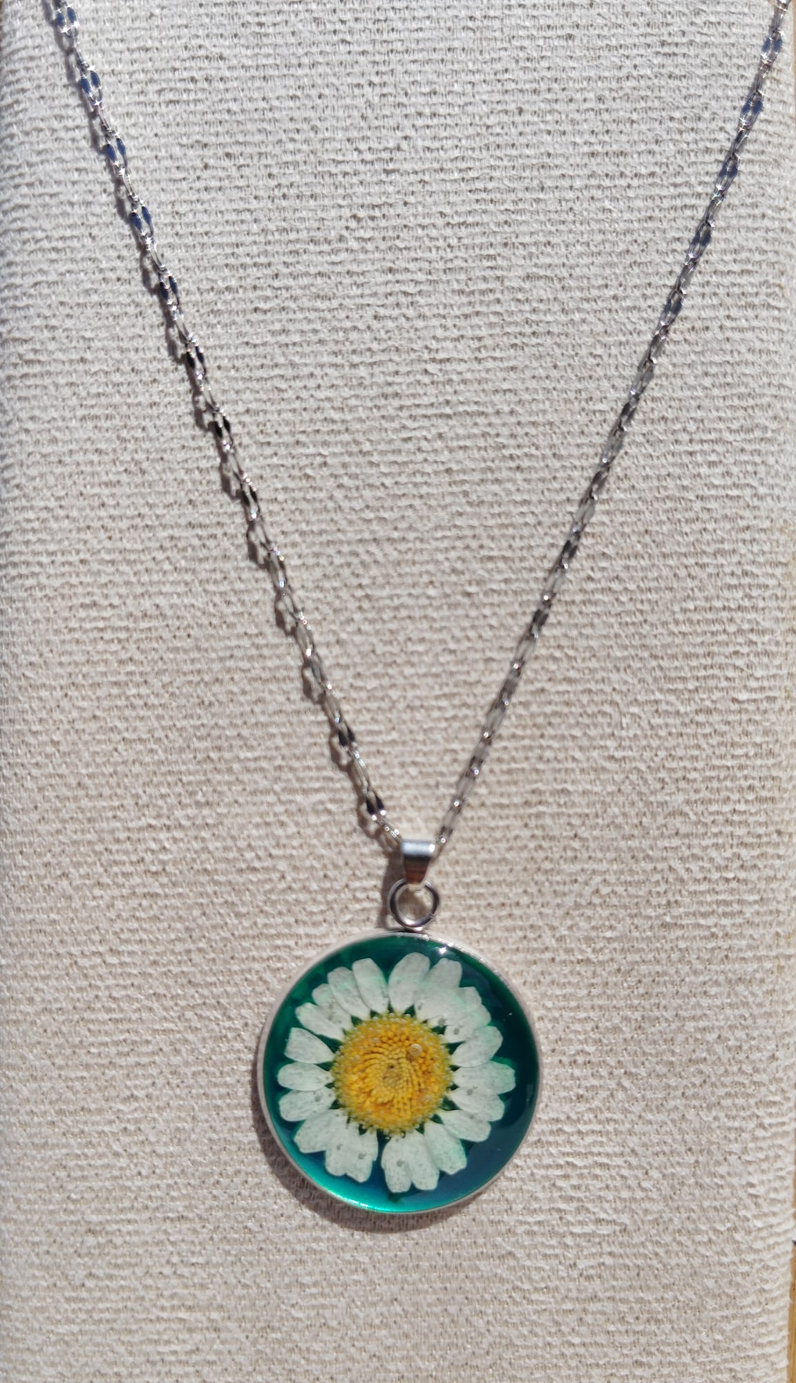 real daisy preserved in vibrant green resin, handcrafted Irish earrings by Botanic Gems Jewelry.