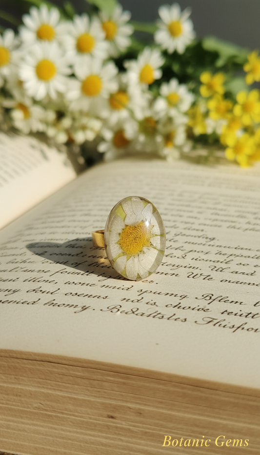 Handcrafted white daisy pressed flower ring gold adjustable band