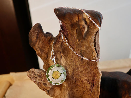 Handmade resin pendant featuring a real daisy flower, Irish botanical jewelry by Botanic Gems Jewelry